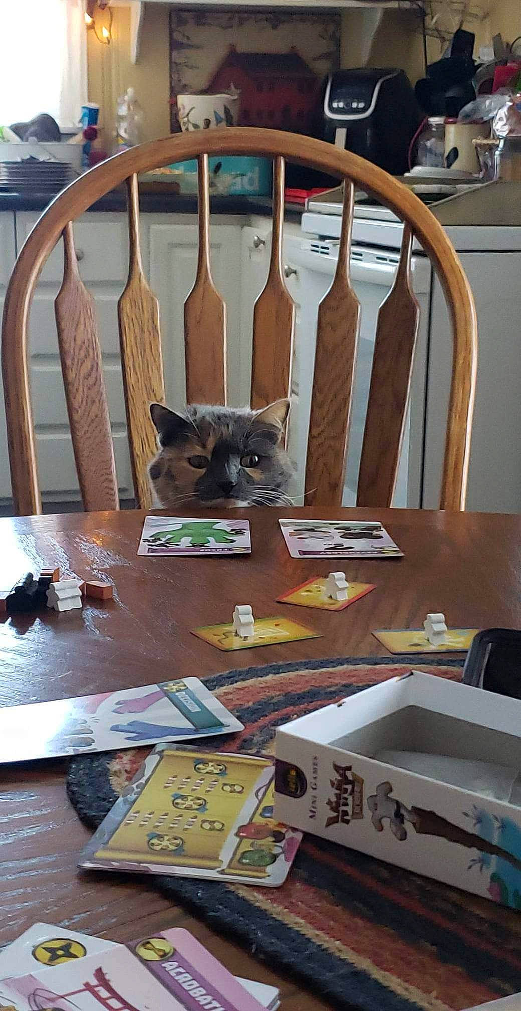 Meows