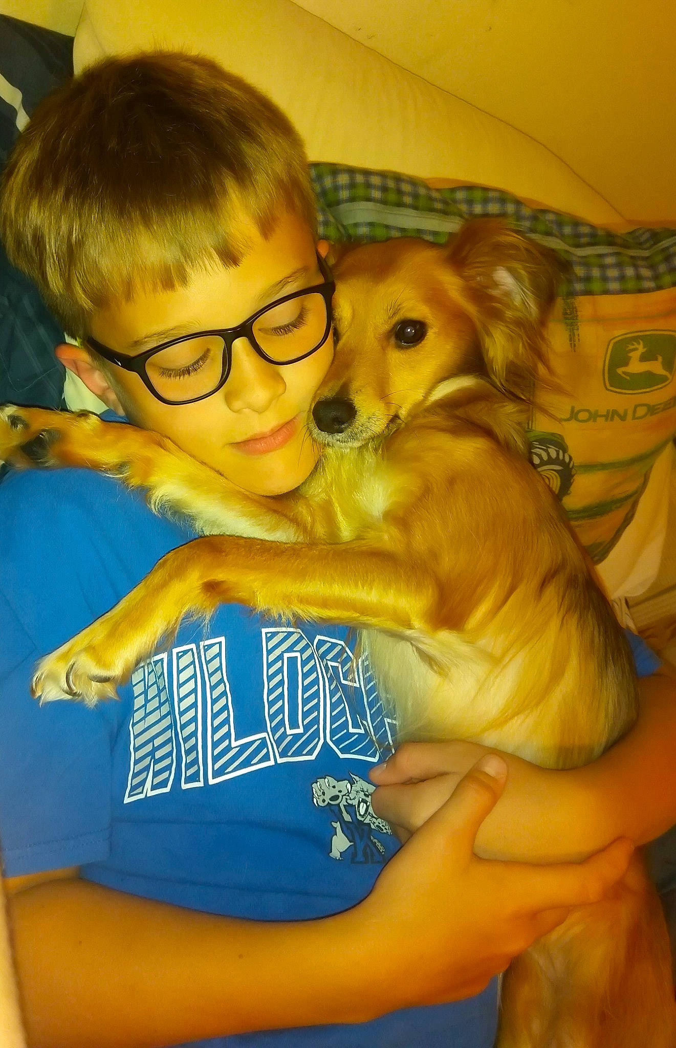 Biscuit joined the competition — help win amazing prizes! canidae, carnivore, child, comfort, companion_dog, dog, dog_breed, dog_supply, eyewear, fawn, fun, fur, glasses, happy, lap, sitting, sporting_group, thigh, toy_dog, vision_care