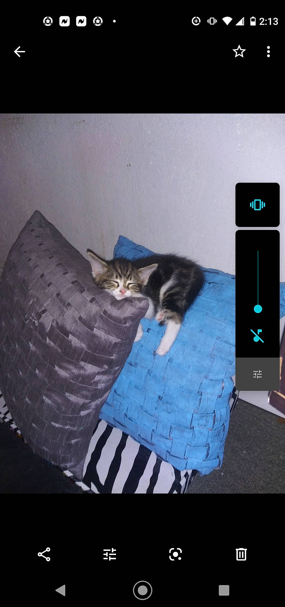 Kay Kay is registered to the contest to win money with this photo: automotive_tire, carnivore, cat, comfort, domestic_short_haired_cat, electric_blue, felidae, font, fur, grey, mammal, output_device, rectangle, room, small_to_medium_sized_cats, synthetic_rubber, tail, tire, tread, whiskers