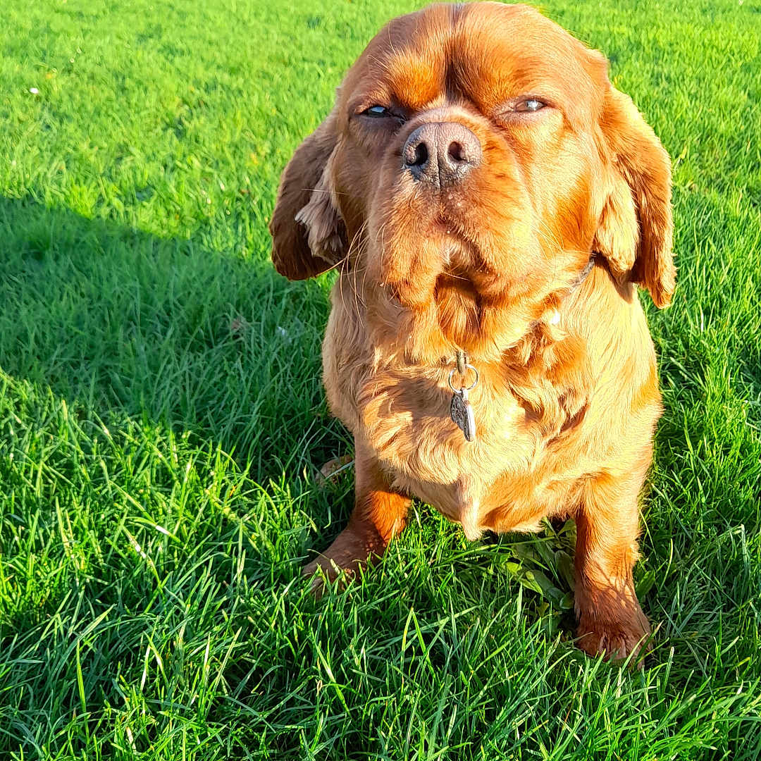 Rusty