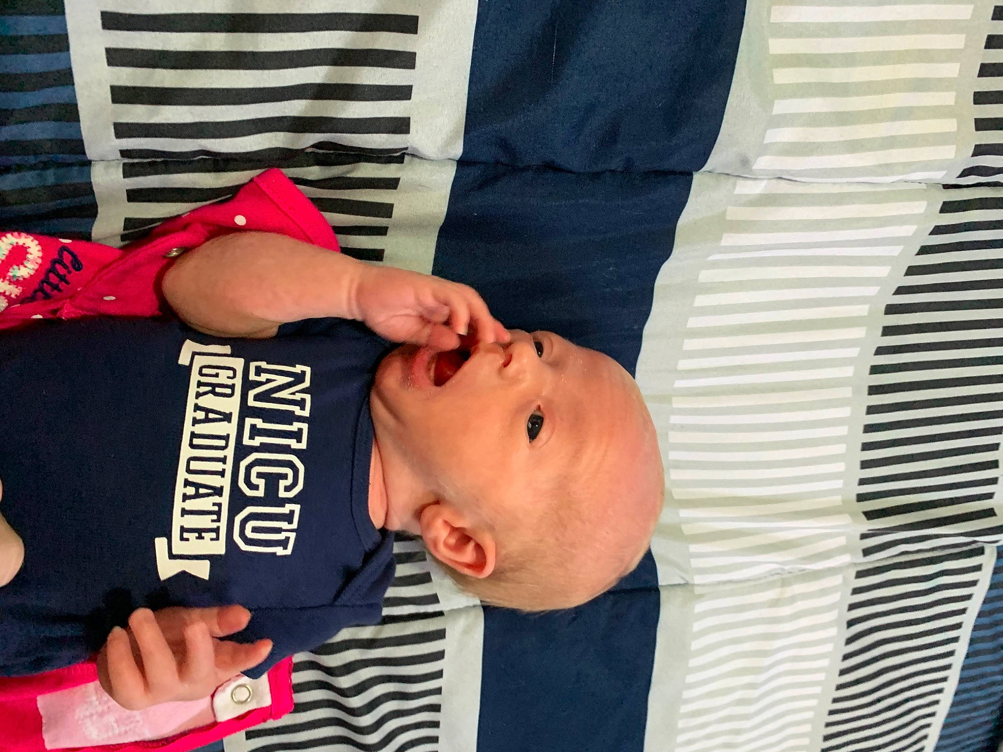 Sophia joined the competition — help win amazing prizes! arm, baby, child, cool, love, nap, person, photography, product, sleep, toddler, vacation