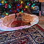 cat, christmas_tree, christmas_lights, ornaments, gift_box, tree_skirt, carpet, indoor, decorations, sleeping, pet, holiday, festive, cozy, ginger_cat, plush, wrapped_gift, colorful_lights, floor, home