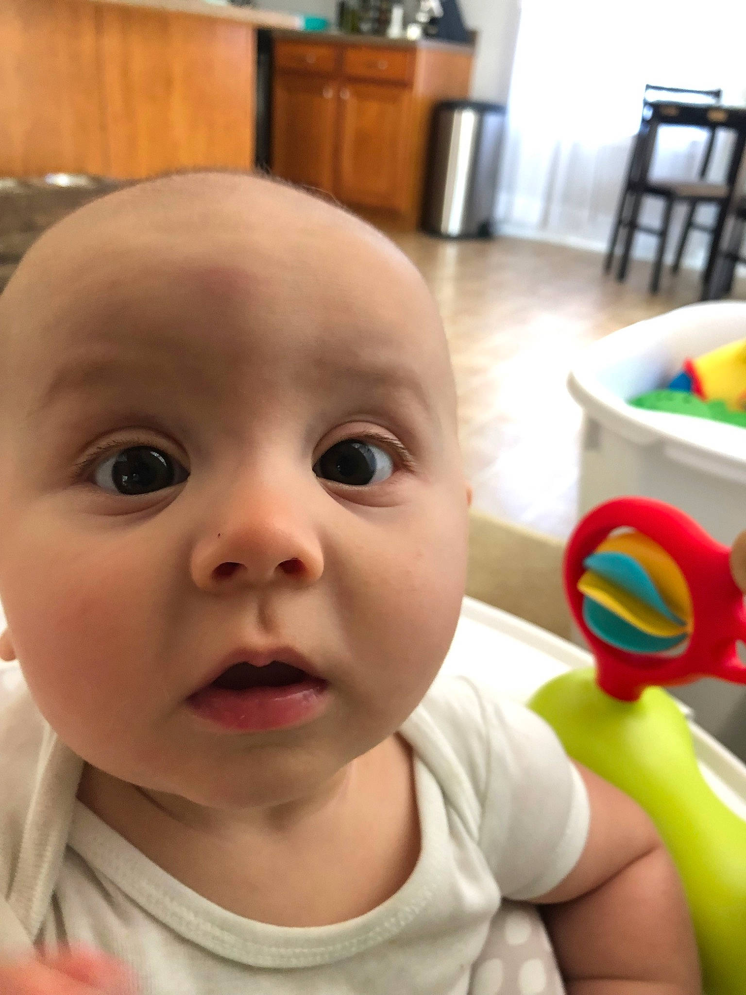 Forrest is registered to the contest to win money with this photo: baby, cheek, child, eye, face, head, lip, mouth, nose, person, skin, smile, surprise, toddler