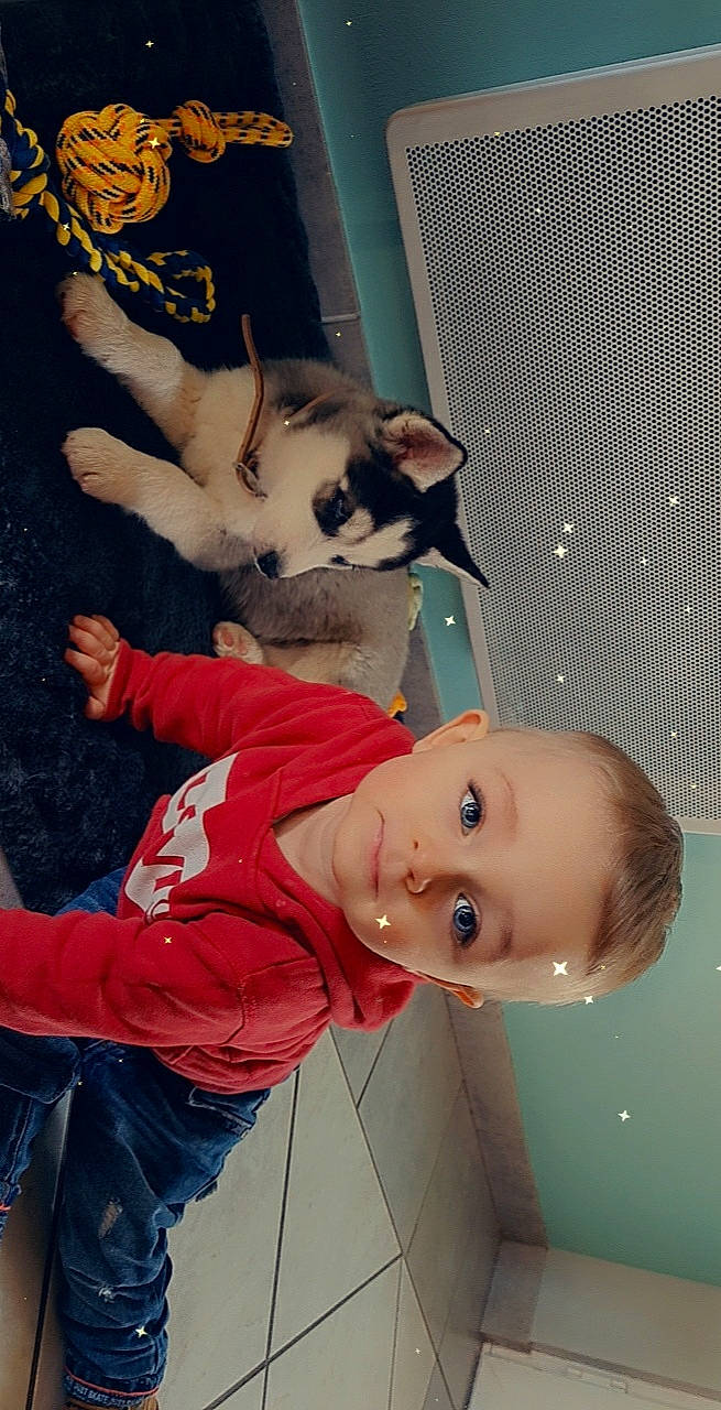 Nélyo participe au concours pour gagner de l'argent avec cette photo : canidae, carnivore, cat, child, comfort, companion_dog, dog_breed, domestic_short_haired_cat, eye, felidae, fun, fur, happy, lap, mouth, nose, paw, person, small_to_medium_sized_cats, tail