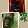 Shaggy joined the competition — help win amazing prizes! dog, collage, photo, painting, wood, doorway, blue_clothing, portrait, ribbon, award, animal, pet, cute, brown, black, fur, eyes, indoor, texture, background