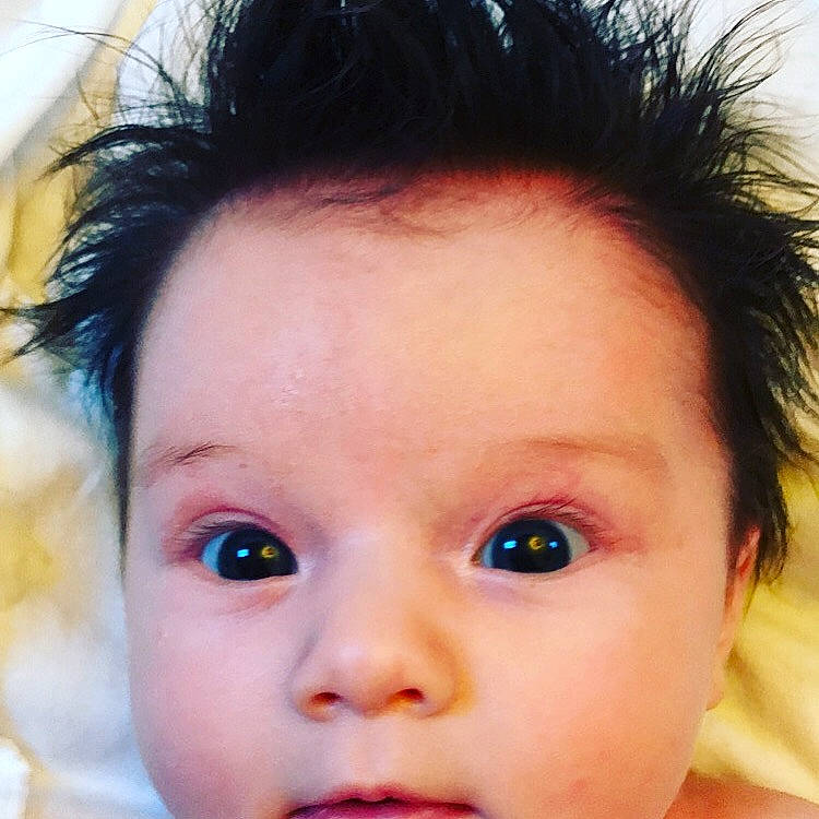 Bella-rose joined the competition — help win amazing prizes! baby, beauty, black_hair, cheek, child, chin, close_up, eye, eyebrow, eyelash, face, facial_expression, forehead, hair, hairstyle, head, iris, lip, nose, person