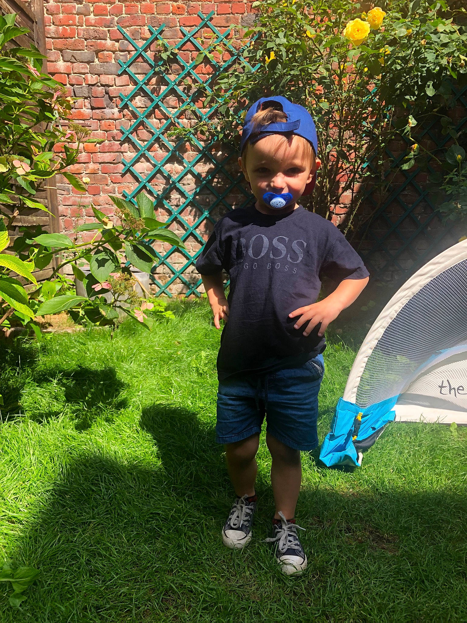 Lyess a rejoint le concours — aidez-le/la à gagner de superbes lots ! child, garden, grass, lawn, net, person, plant, play, recreation, t_shirt, toddler, tree, vacation, yard