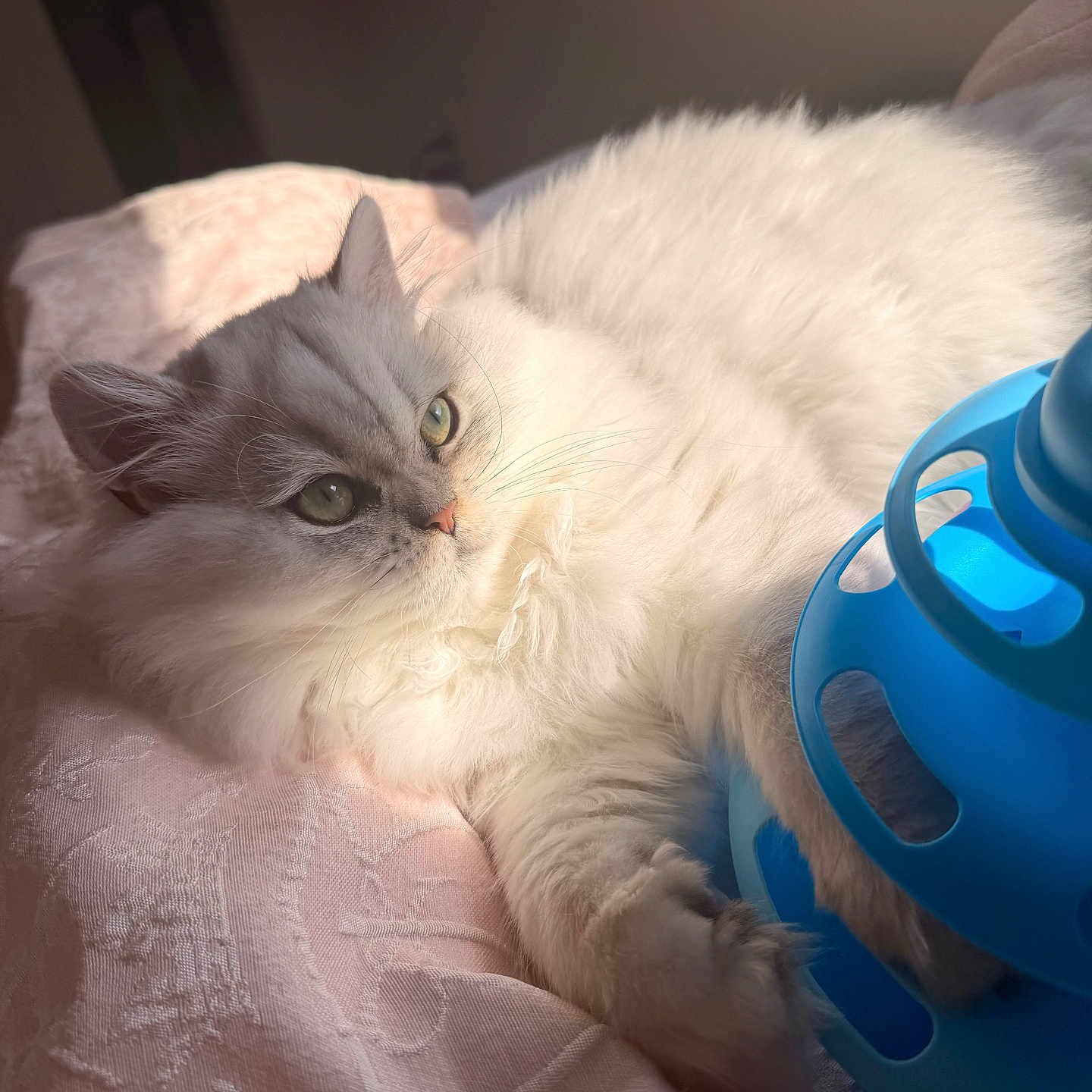 Luna