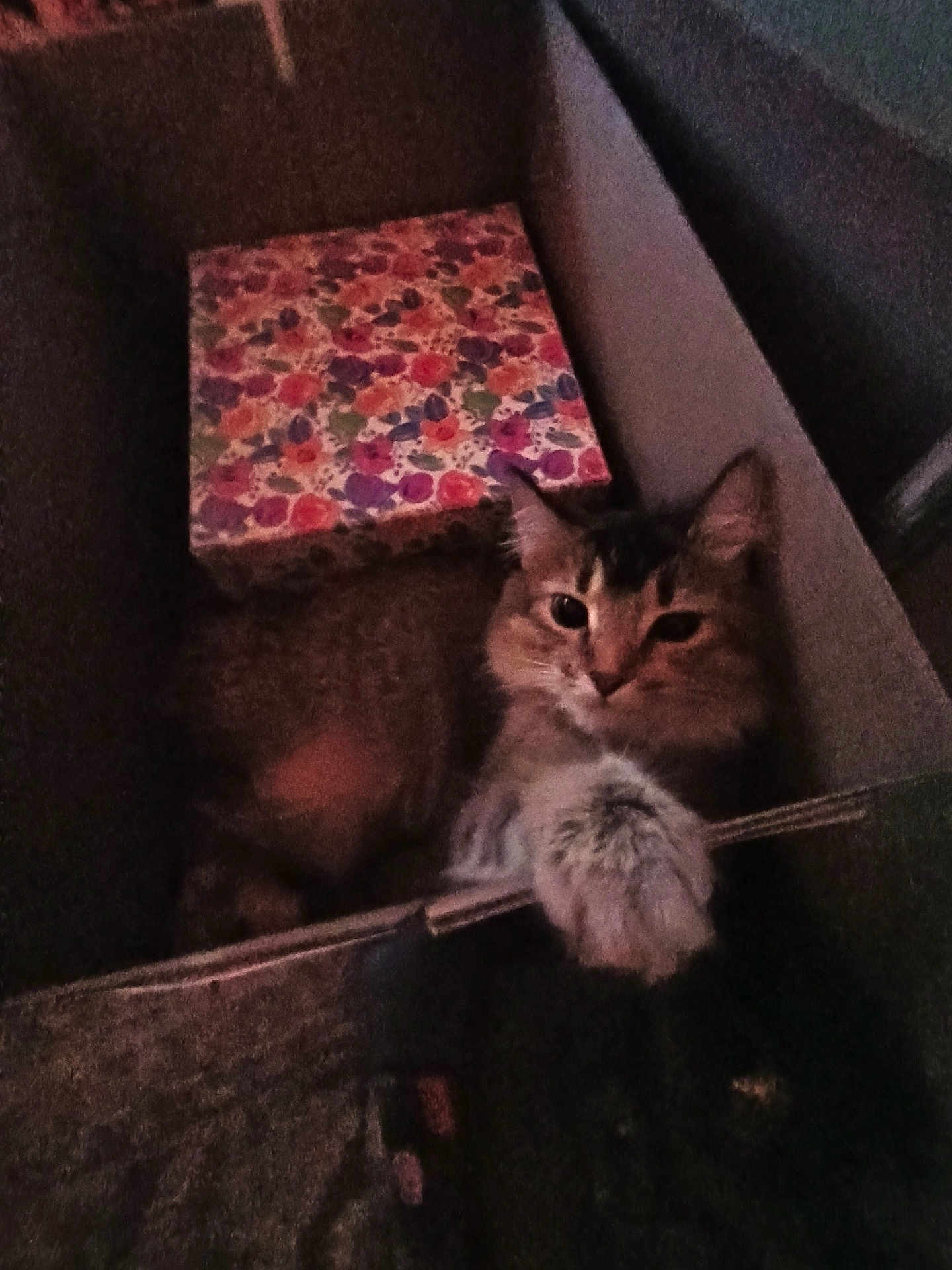 Mamas