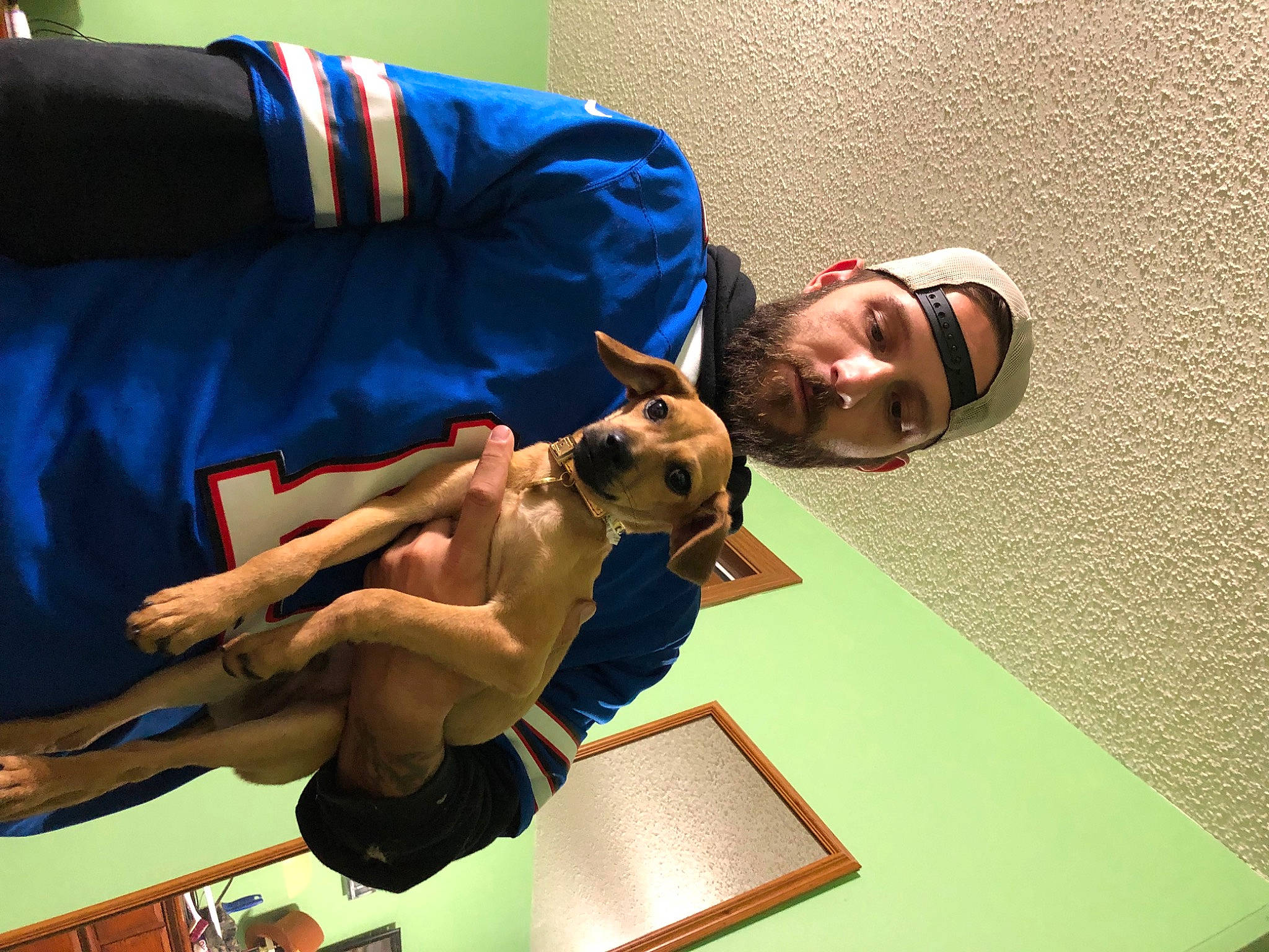 Rocco joined the competition — help win amazing prizes! carnivore, comfort, companion_dog, dog, elbow, eyewear, foot, fun, human_leg, joint, knee, leisure, room, shorts, sitting, thigh, wrist