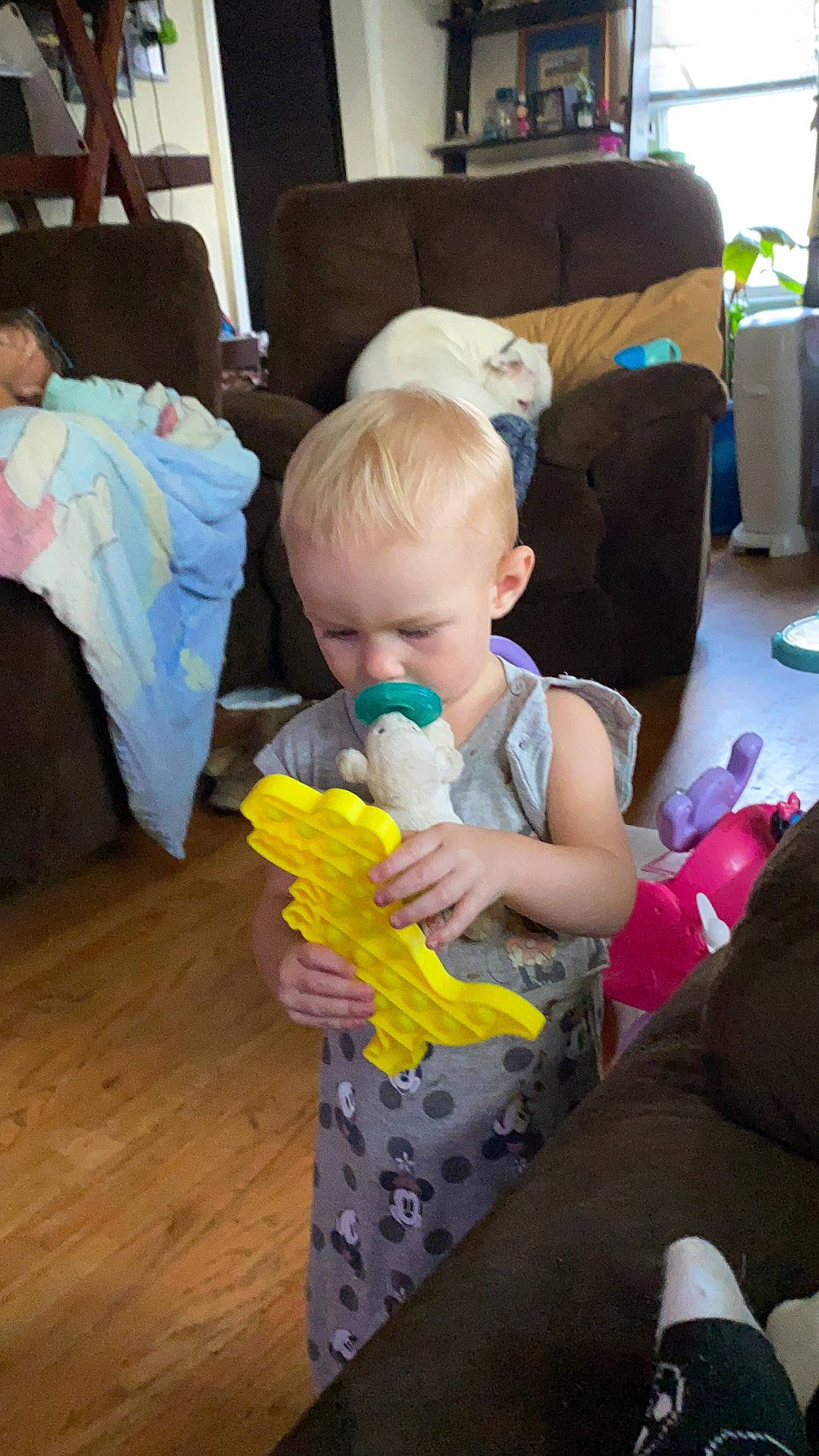 Aurora is registered to the contest to win money with this photo: baby, baby_products, chair, child, comfort, event, flooring, fun, lap, leisure, person, play, room, sitting, sock, stuffed_toy, t_shirt, toddler, toy, vacation