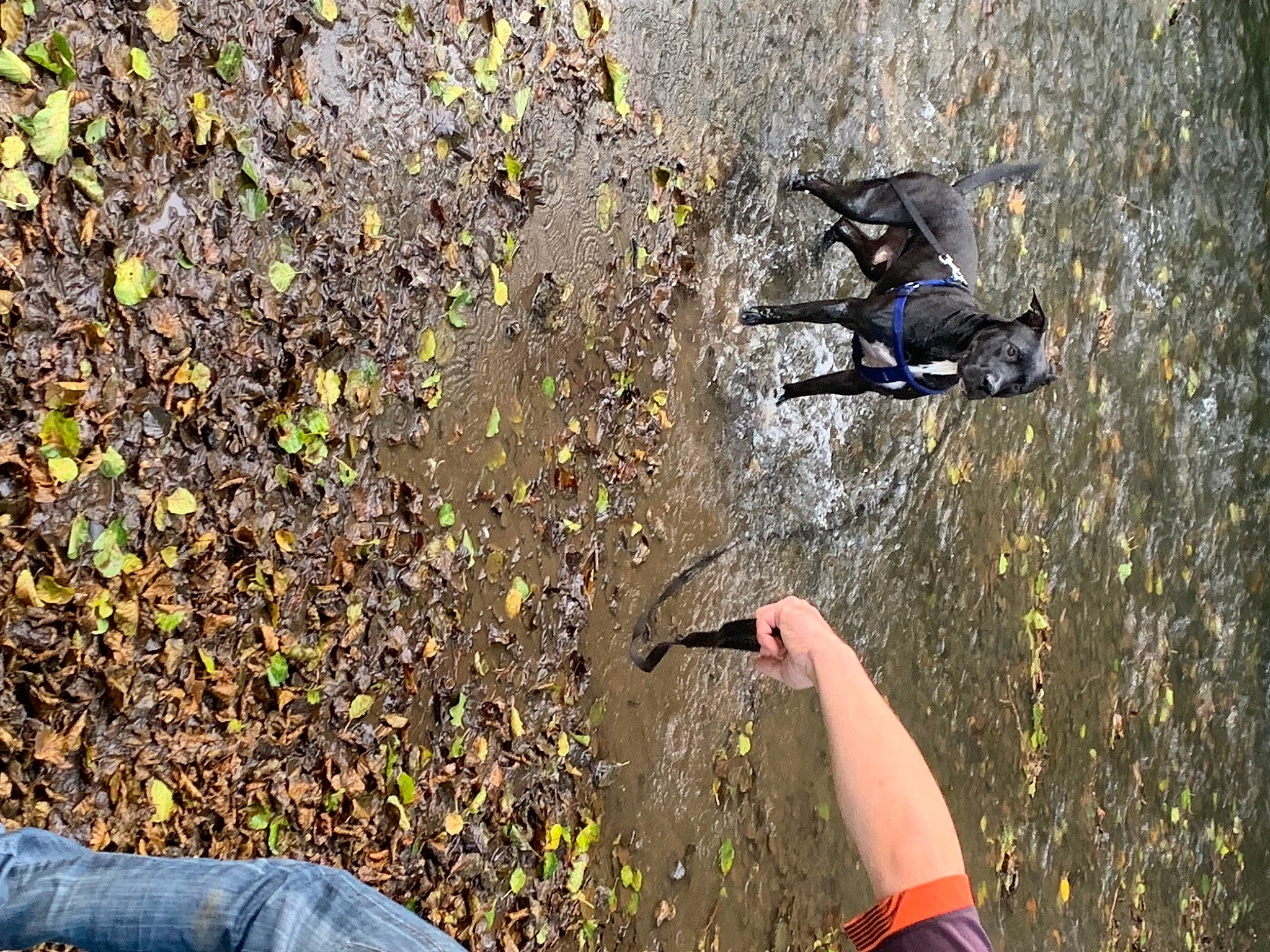 Anubis participe au concours pour gagner de l'argent avec cette photo : adventure, asphalt, automotive_tire, bicycle_handlebar, cycle_sport, cycling, extreme_sport, grass, human_leg, leisure, outdoor_recreation, people_in_nature, recreation, road, road_surface, shadow, sidewalk, soil, tire, vehicle