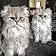 Rocco And Ozzy