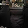 dog, white_dog, indoor, footrest, slippers, black_pants, legs, cushion, basket, pillows, lantern, wood_floor, cozy, pet, home_interior, furniture, relaxation, curiosity, peeking, living_room