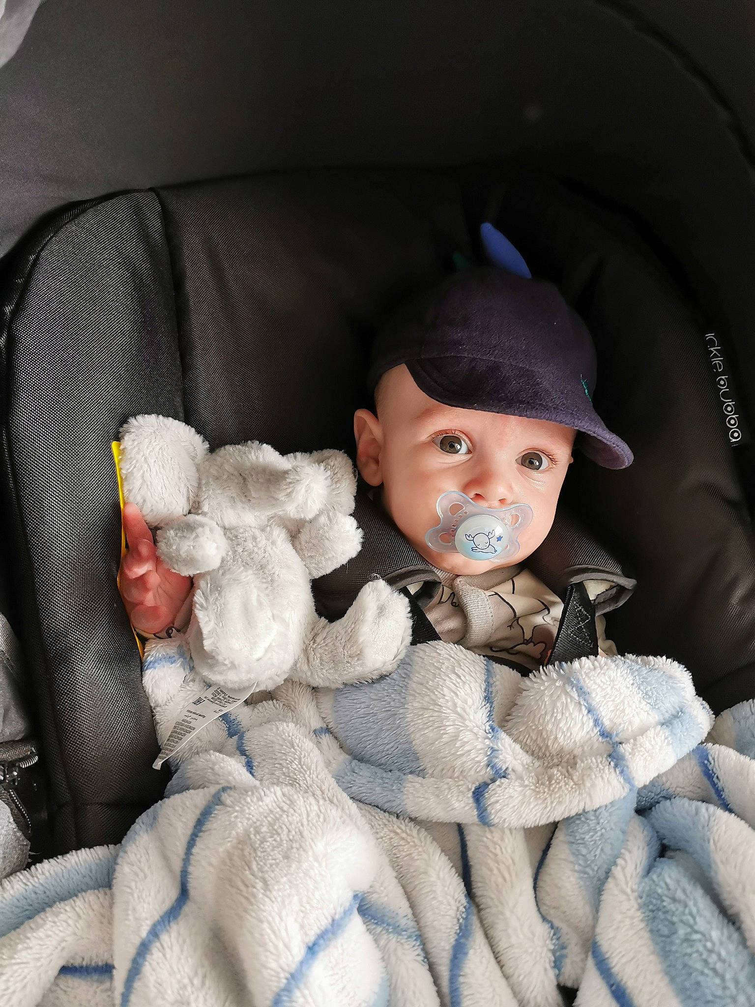 Vinnie joined the competition — help win amazing prizes! art, auto_part, baby, baby_carriage, baby_products, baby_toddler_clothing, cap, car_seat, car_seat_cover, cheek, comfort, eye, flash_photography, fur, head, linens, person, seat_belt, textile, toddler