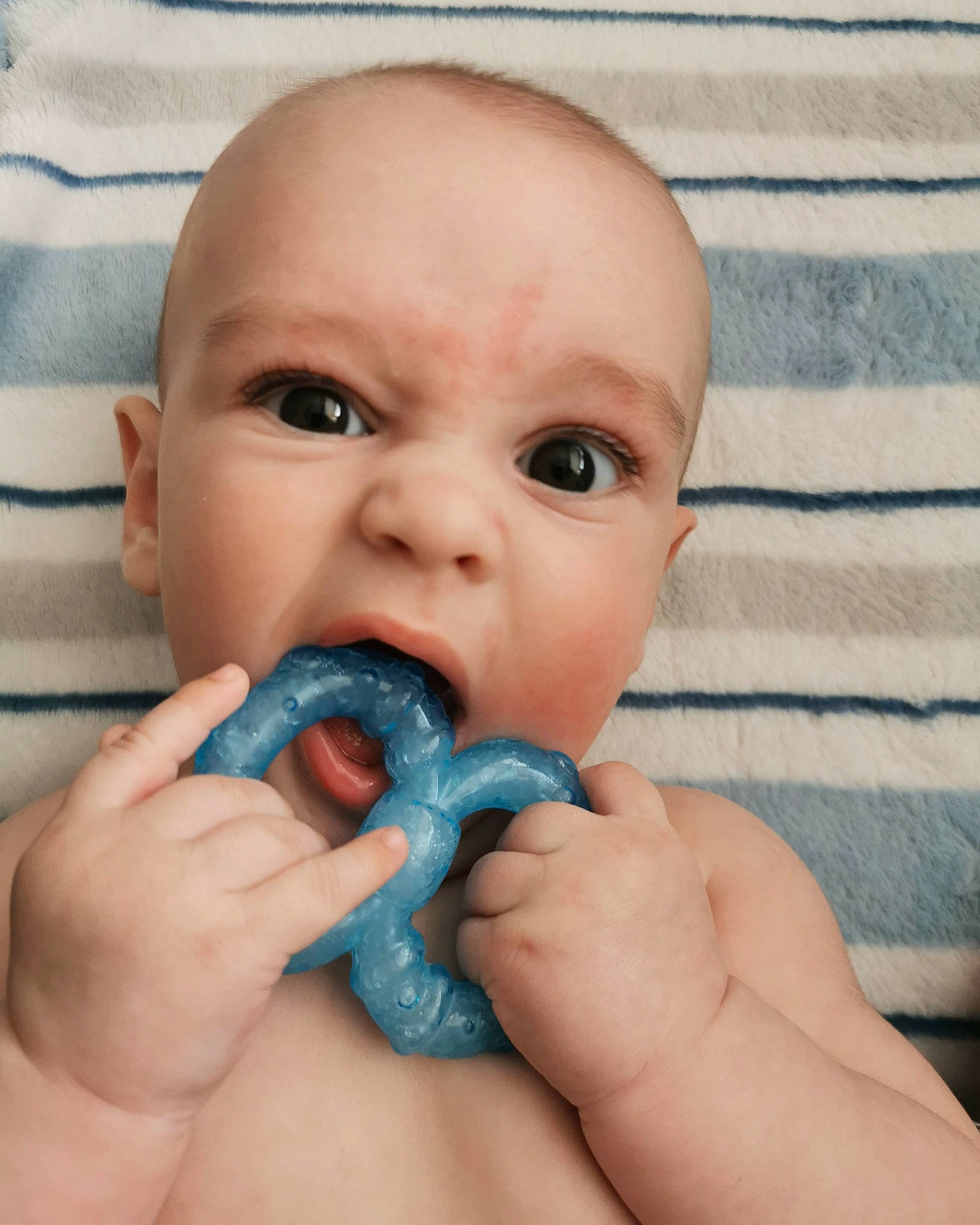 Vinnie joined the competition — help win amazing prizes! azure, beauty, cheek, electric_blue, eye, eyebrow, eyelash, finger, gesture, hand, happy, head, mouth, nail, nose, person, photograph, skin, thumb, toddler