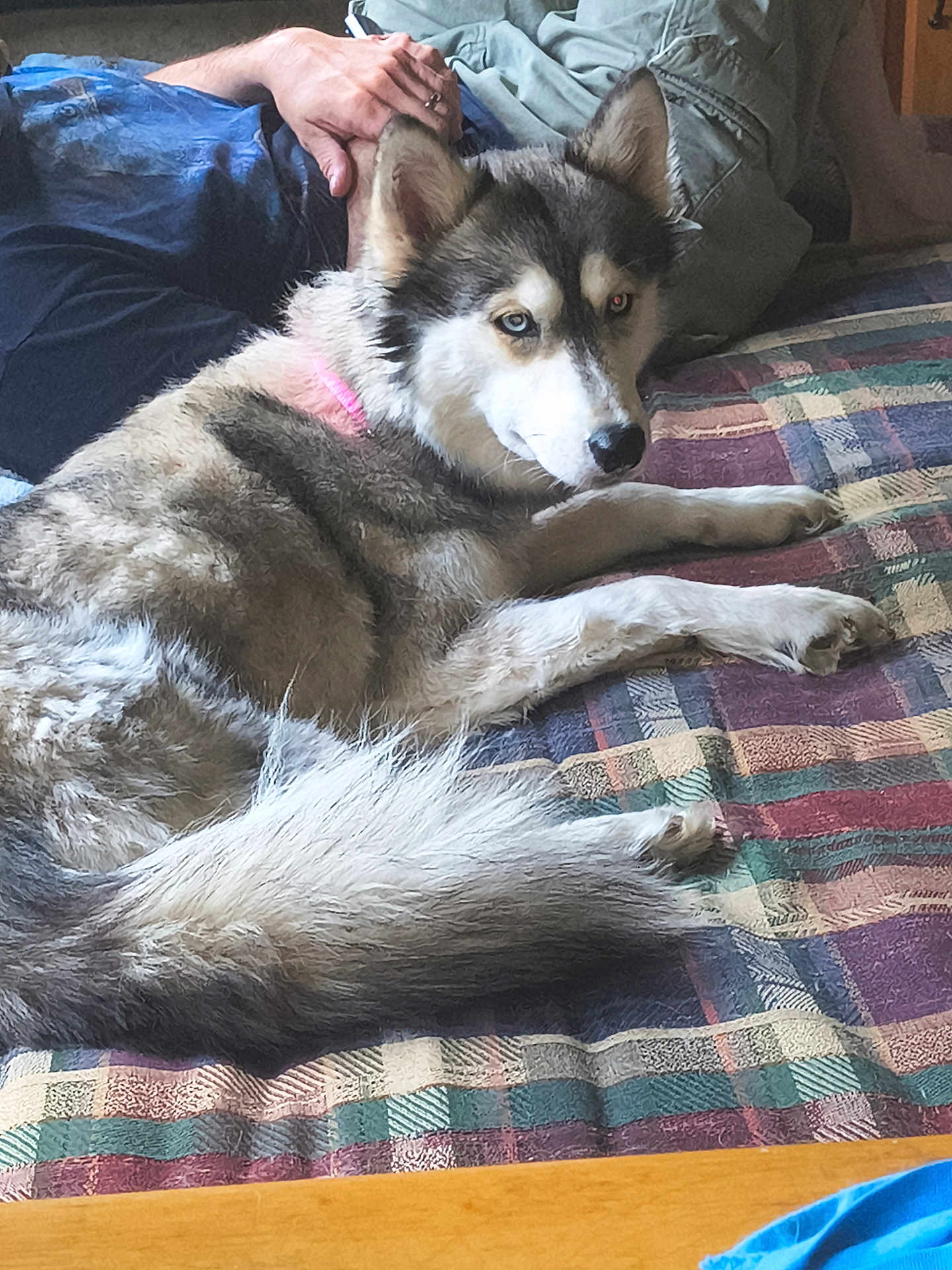 Luna