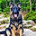 Xena