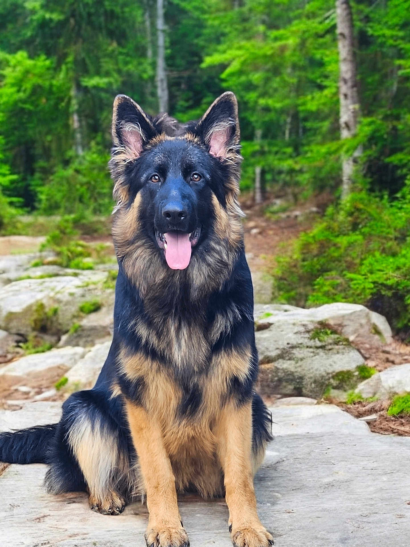 Xena