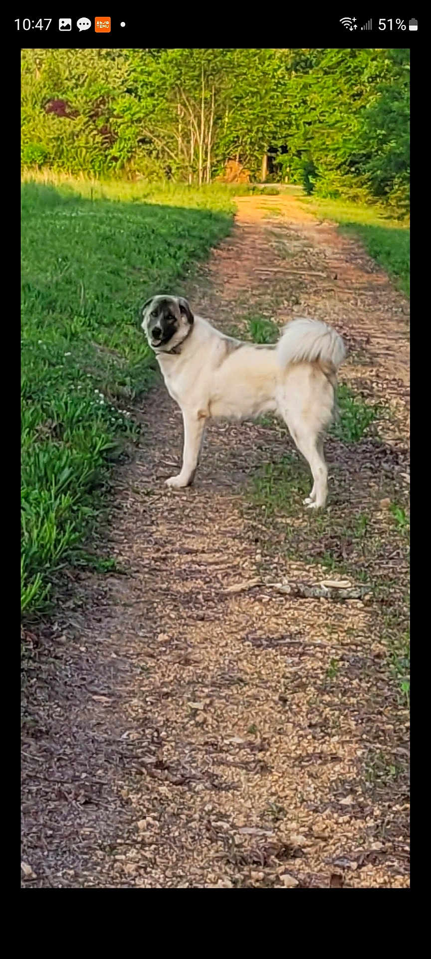 Sam