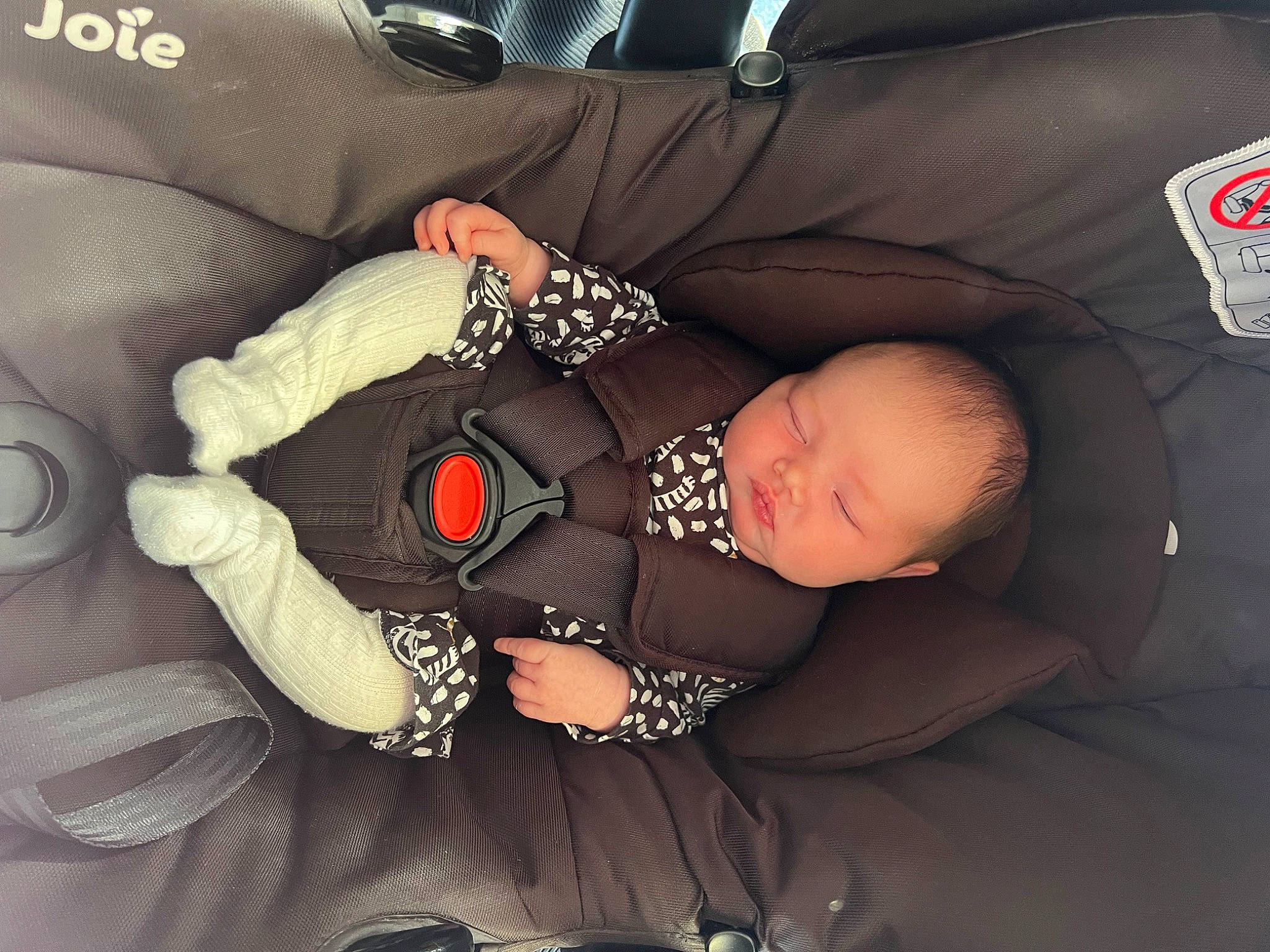 Annalise is registered to the contest to win money with this photo: auto_part, baby, baby_carriage, baby_products, baby_sleeping, baby_toddler_clothing, bedtime, car_seat, car_seat_cover, carmine, child, comfort, family_car, human_leg, lap, nail, nap, person, sitting, thigh