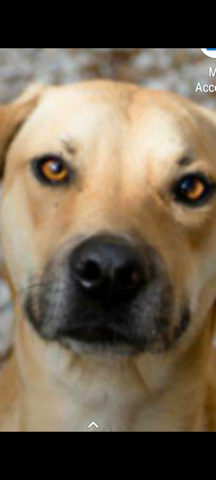 Mar