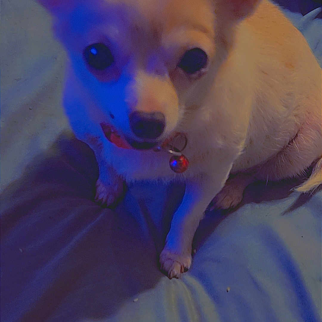 Mya