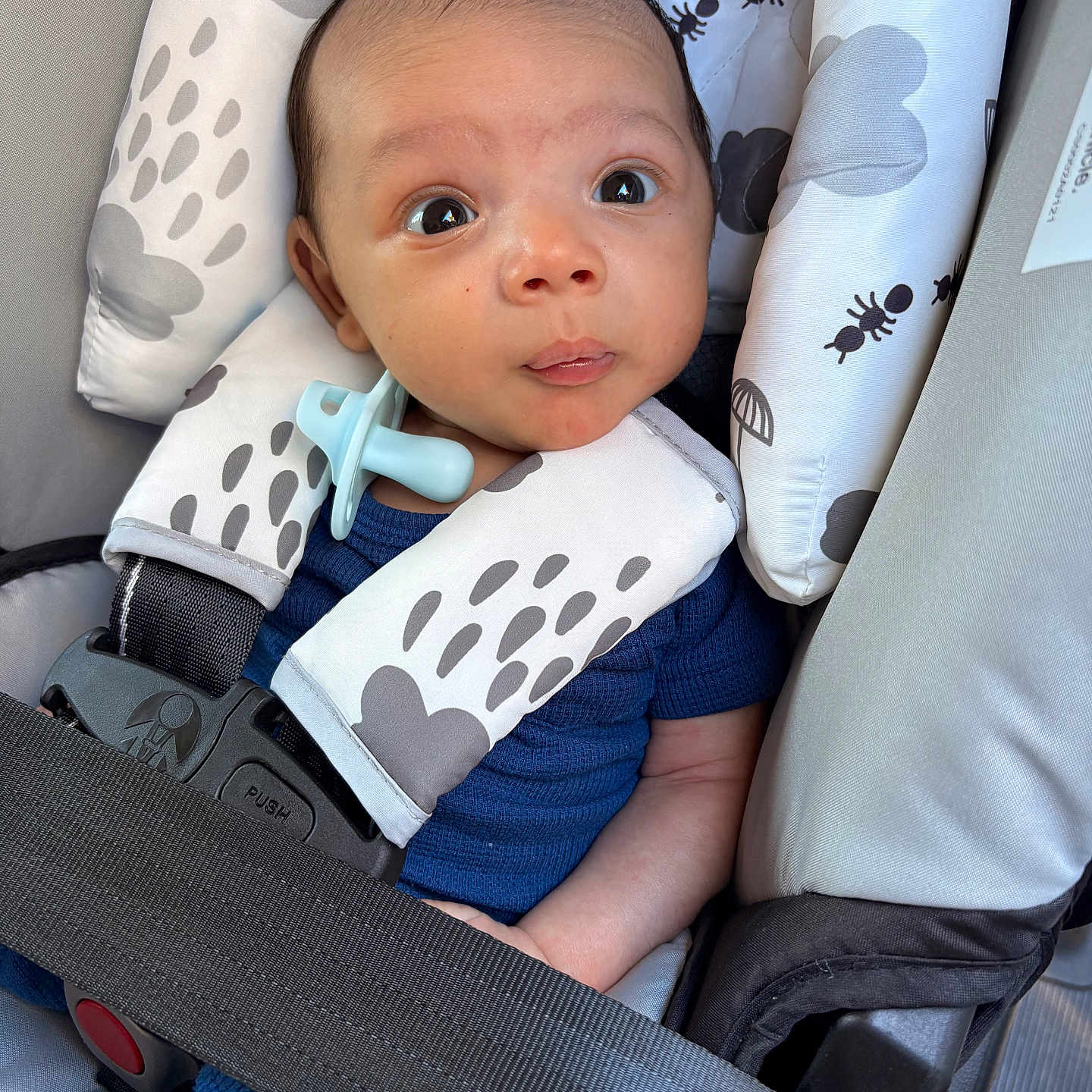 Iverson joined the competition — help win amazing prizes! baby, blue_clothing, car_seat, child, closeup, comfort, cushion, cute, expression, eyes, face, indoor, infant, pacifier, pattern, person, portrait, safety, seat_belt, young_child