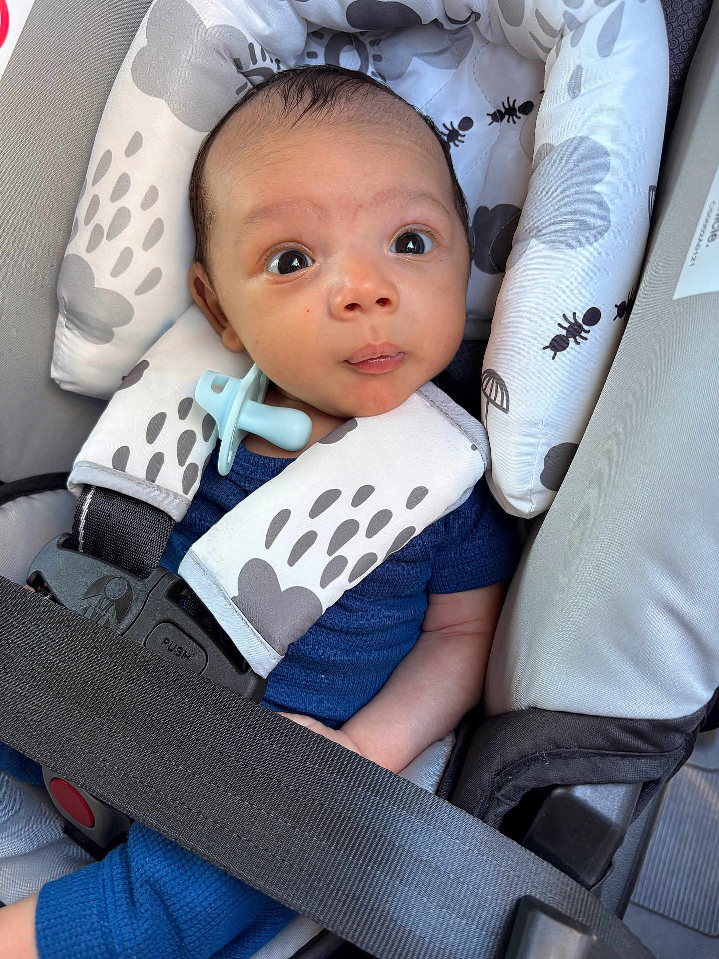 Iverson joined the competition — help win amazing prizes! baby, car_seat, child, infant, pacifier, blue_clothing, seat_belt, face, eyes, expression, safety, cushion, pattern, comfort, indoor, closeup, person, young_child, portrait, cute