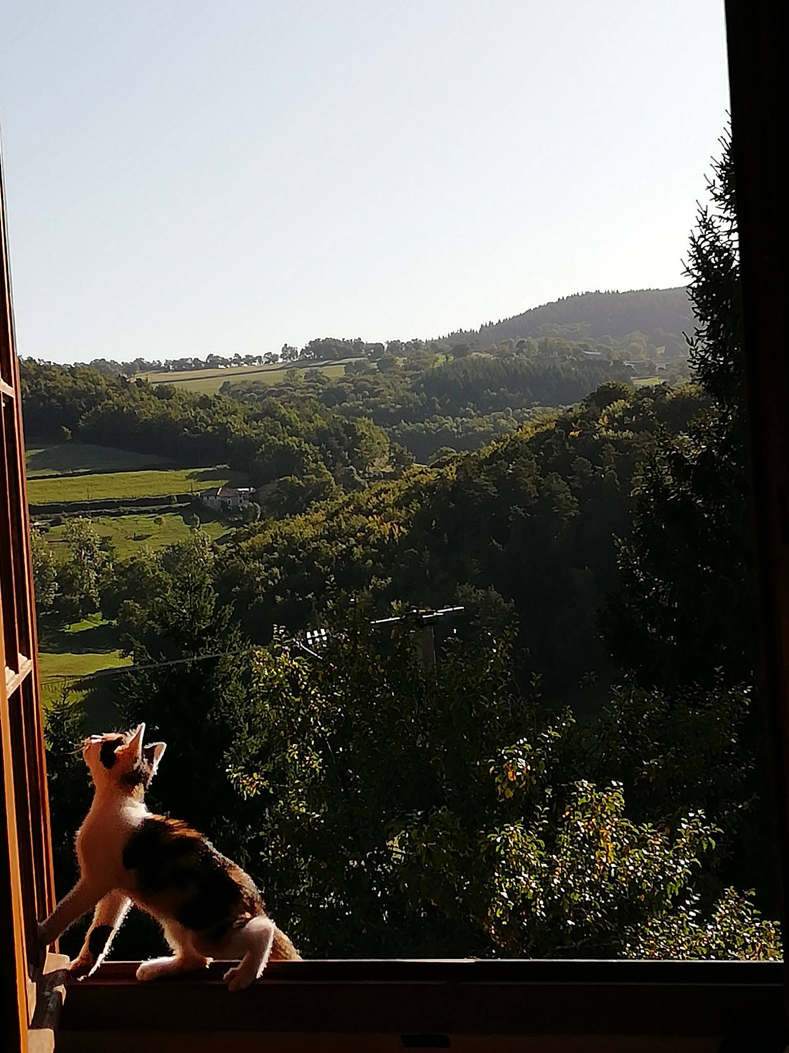 Perle participe au concours pour gagner de l'argent avec cette photo : cloud, forest, hill, horizon, landscape, leisure, mountain, photography, plant, sitting, sky, sunlight, tints_and_shades, tourism, tree, vacation, window