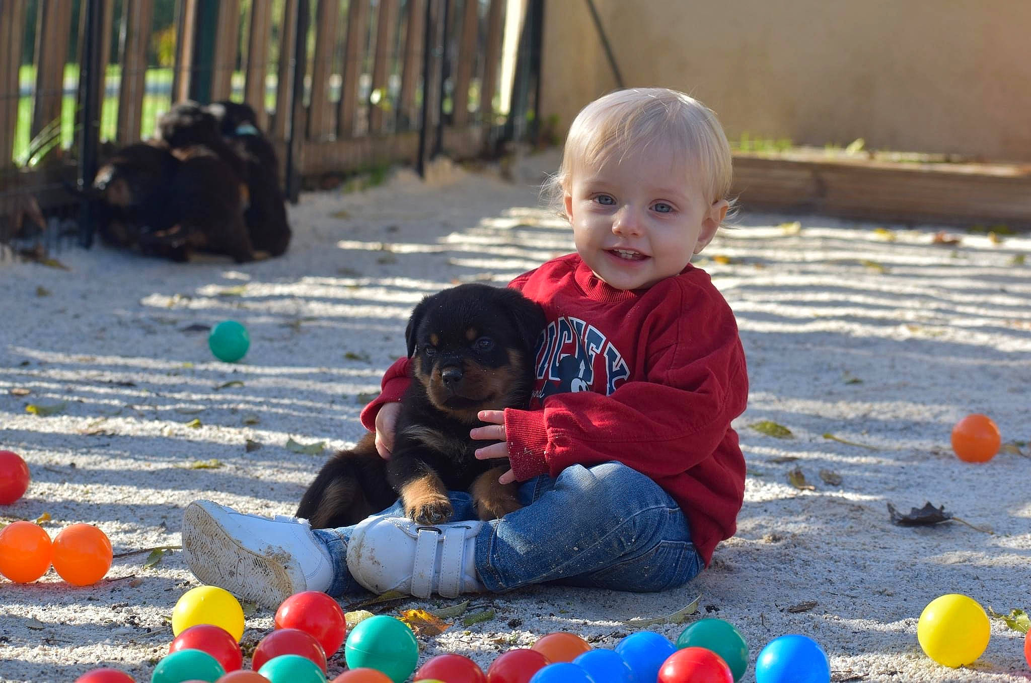 Yago participe au concours pour gagner de l'argent avec cette photo : baby, beauty, black, blue, child, fun, green, happy, human, joy, leisure, light, nature, people, person, photograph, public_space, red, summer, toddler