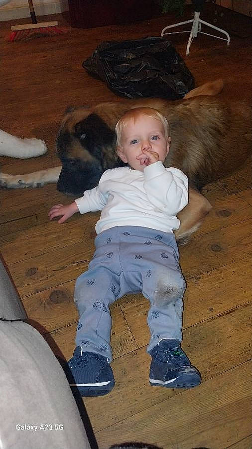 Yago participe au concours pour gagner de l'argent avec cette photo : baby, baby_toddler_clothing, cheek, child, comfort, floor, flooring, fun, fur, happy, hardwood, mammal, nose, person, play, sitting, skin, smile, toddler, wood