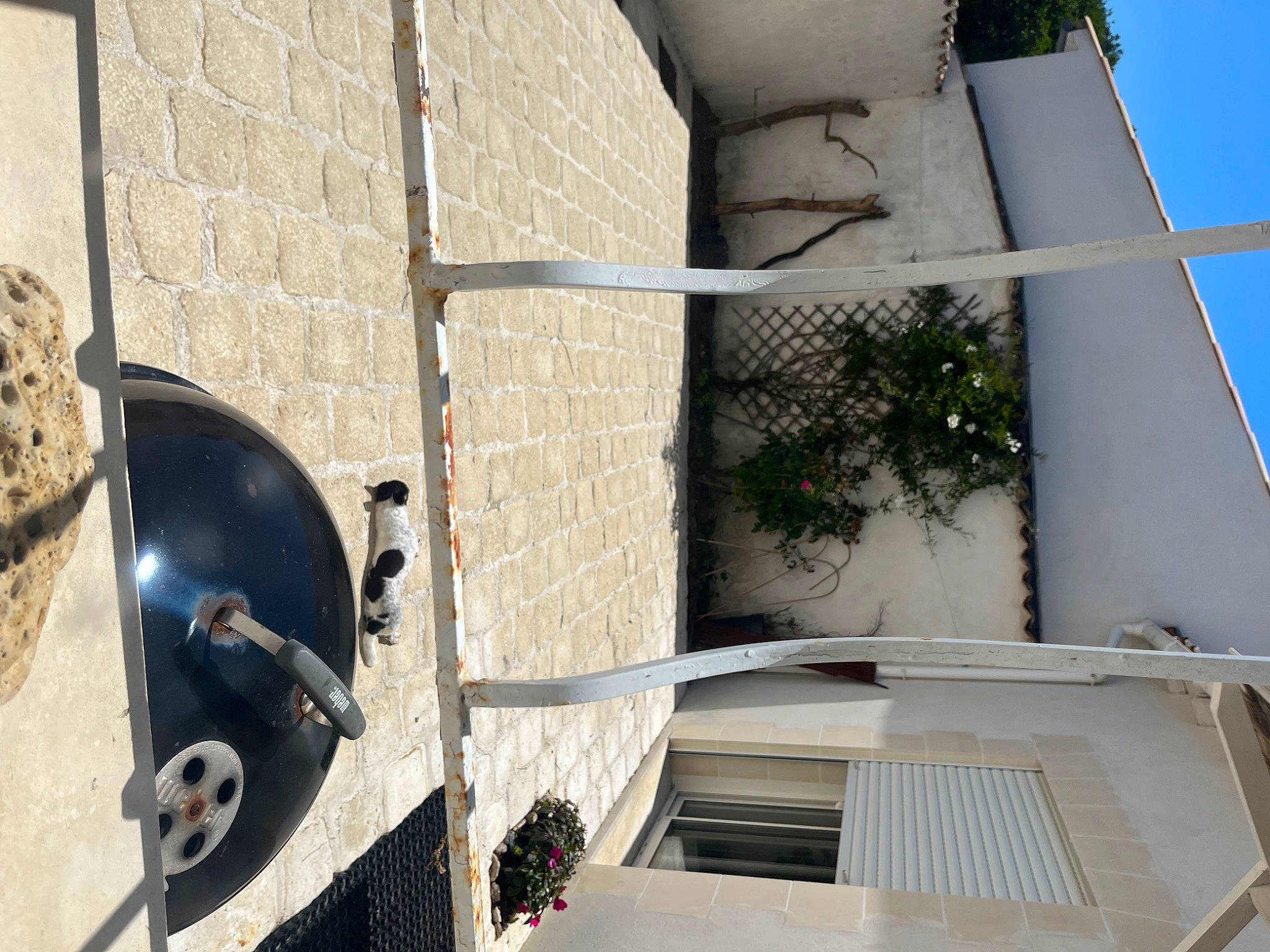 Jade participe au concours pour gagner de l'argent avec cette photo : apartment, automotive_exterior, building, composite_material, concrete, condominium, daylighting, facade, glass, house, metal, mixed_use, rectangle, roof, room, shade, sky, urban_design, window, wood