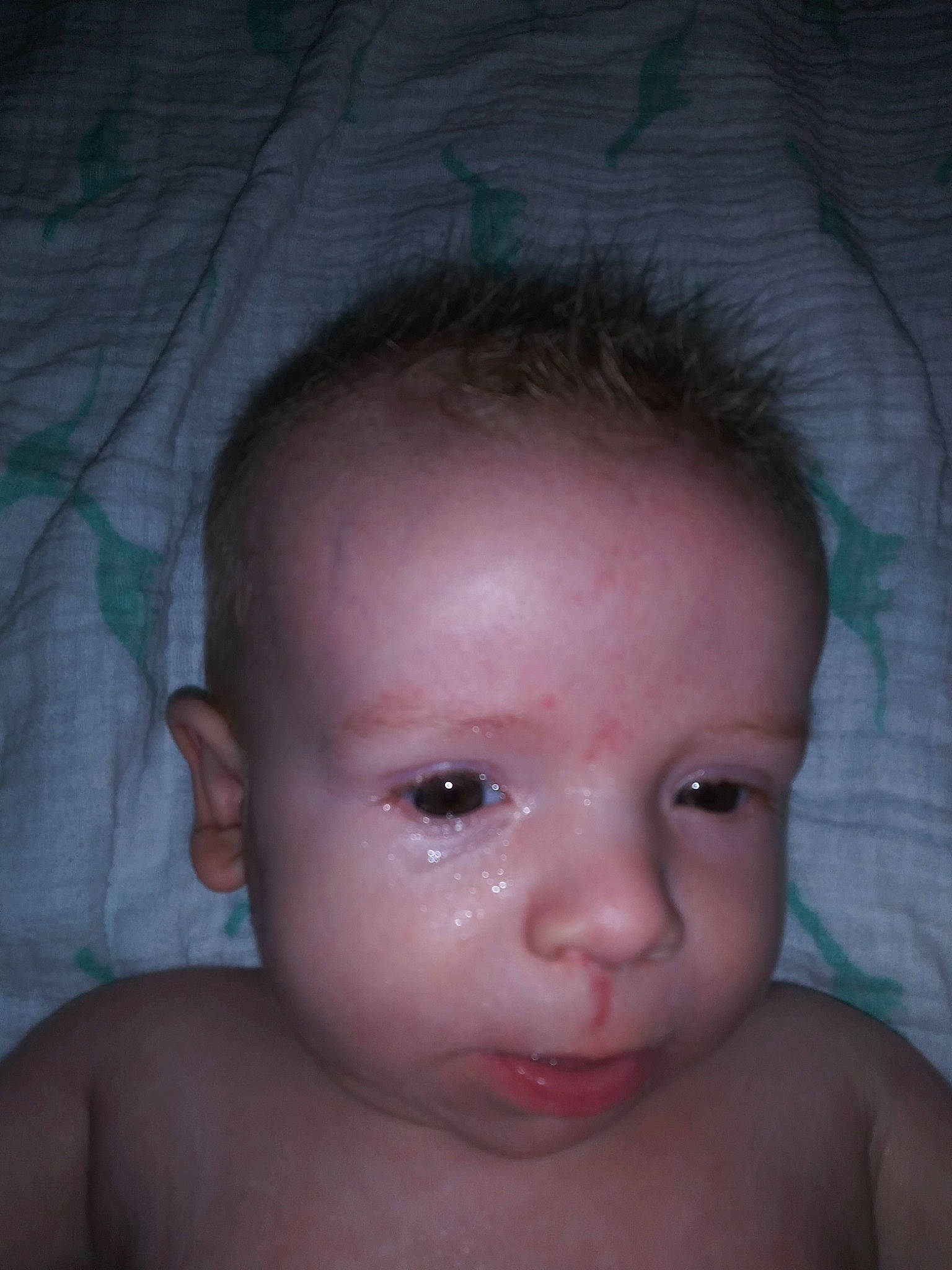 Benny is registered to the contest to win money with this photo: baby, beauty, cheek, child, chin, close_up, ear, eye, eyebrow, face, facial_expression, forehead, hair, head, iris, lip, mouth, nose, organ, person