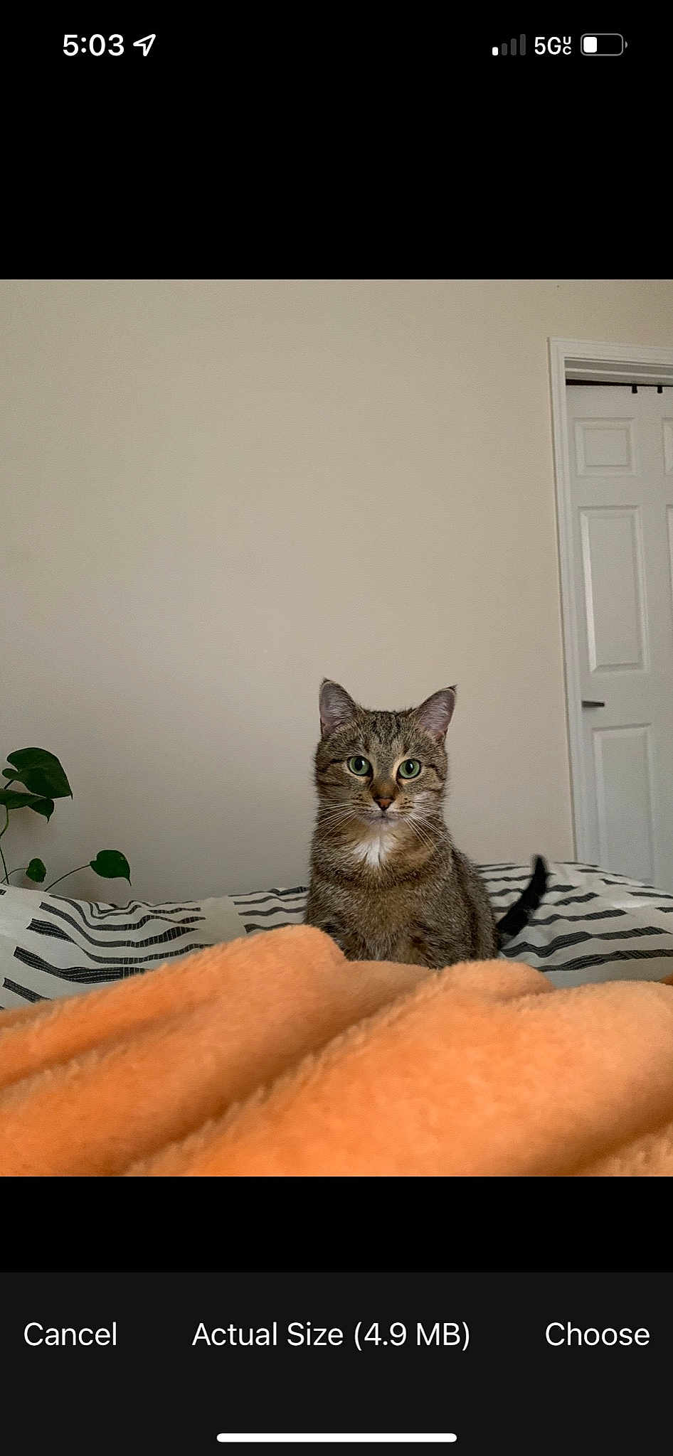Stormi
