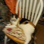 Bella is registered to the contest to win money with this photo: