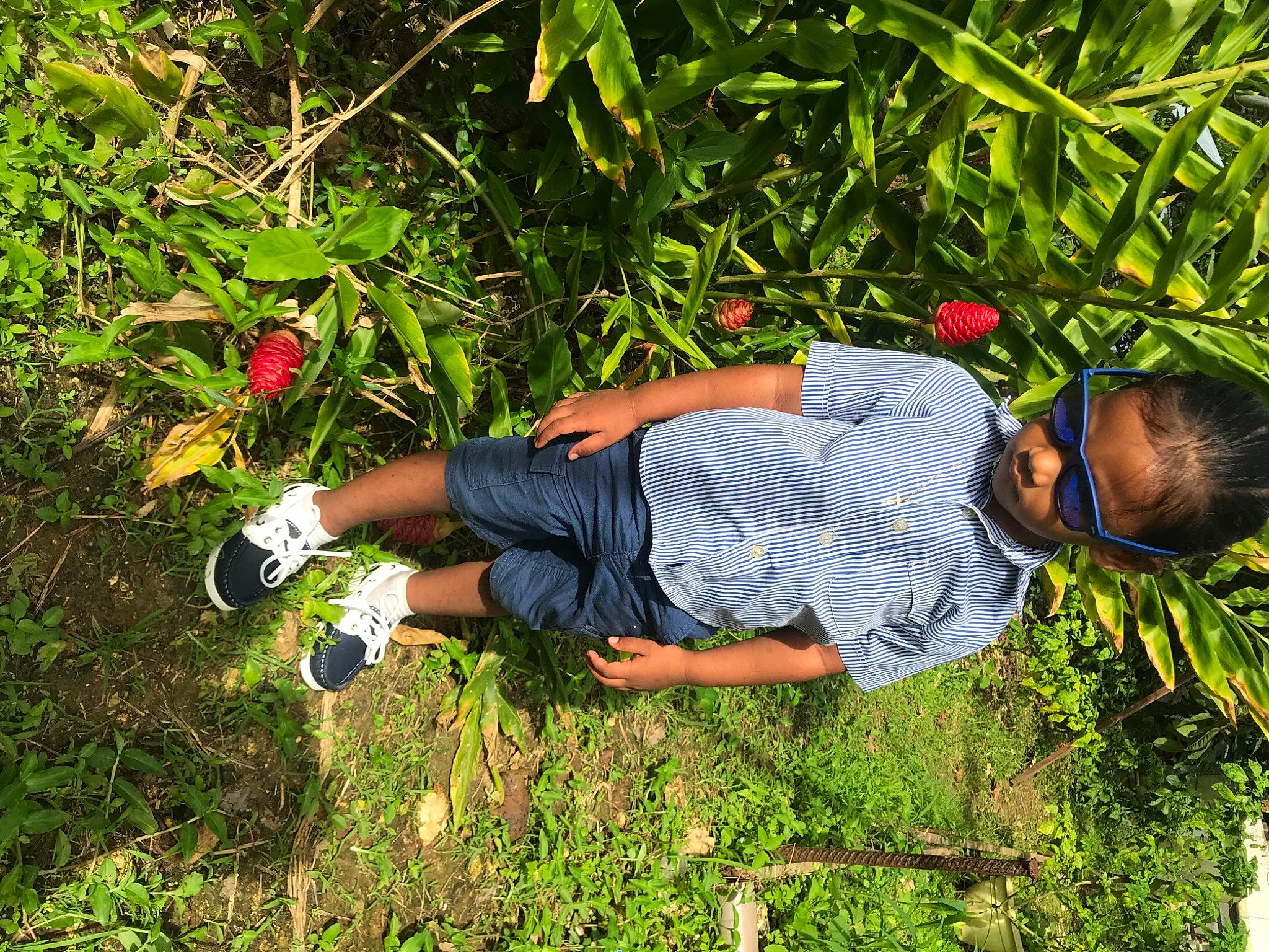 Djydjy participe au concours pour gagner de l'argent avec cette photo : fun, garden, grass, grass_family, grassland, groundcover, happy, hat, lawn, leisure, people_in_nature, person, plant, shoe, shorts, shrub, sitting, soil, sunglasses, t_shirt