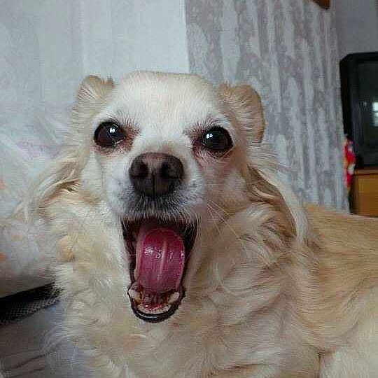 Lilly Meakin is registered to the contest to win money with this photo: