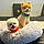 Papi And Teddy