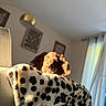 Bodji participe au concours pour gagner de l'argent avec cette photo : dog, puppy, pet, animal, portrait, face, eyes, ears, brown_fur, floppy_ears, sitting, blanket, leopard_print, plush, cozy, indoors, living_room, sunlight, window, home_decor