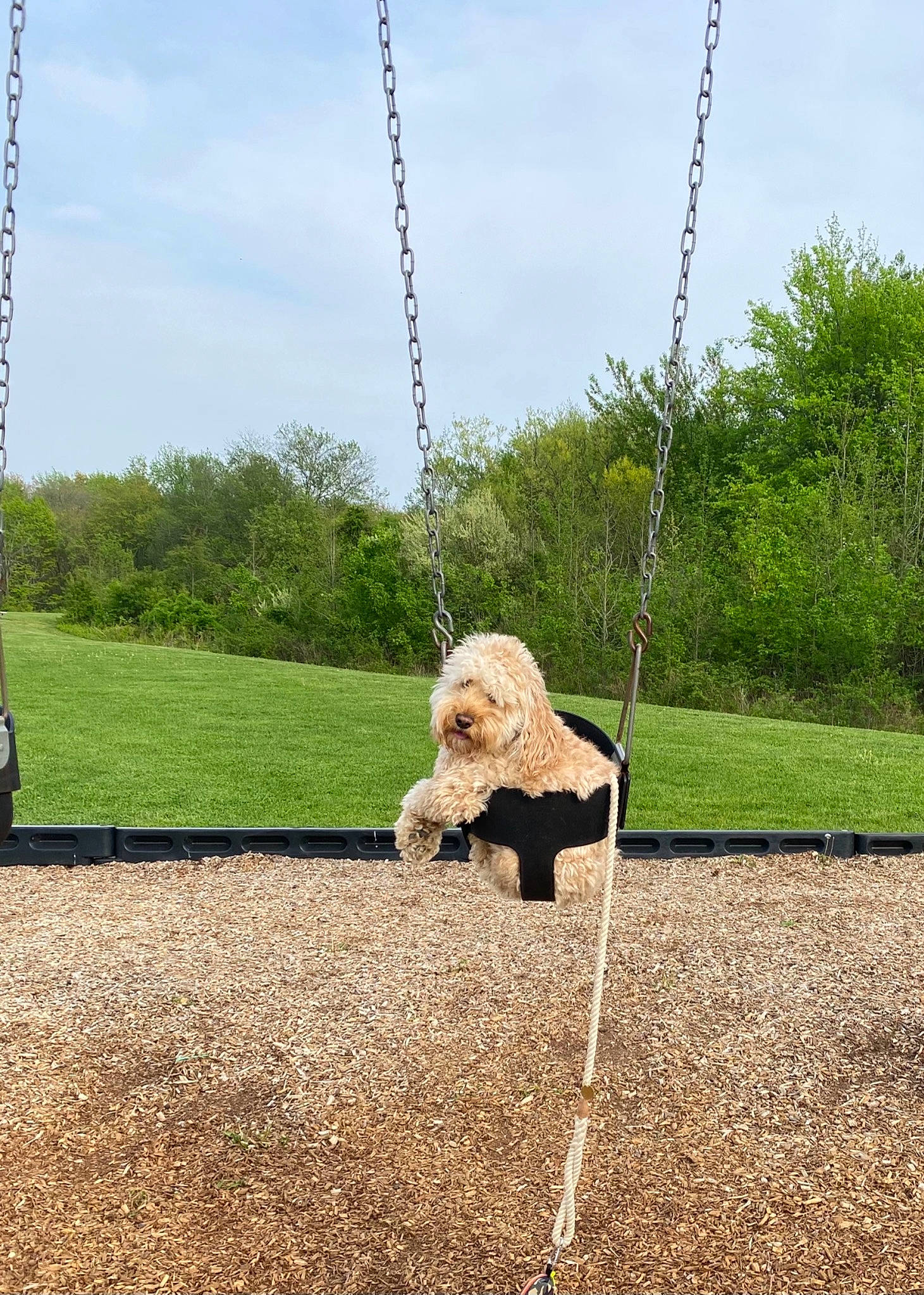 Archy is registered to the contest to win money with this photo: city, cloud, fun, grass, grassland, landscape, leisure, outdoor_play_equipment, people_in_nature, plant, playground, pole, recreation, sitting, sky, soil, swing, tire, tree, wheel
