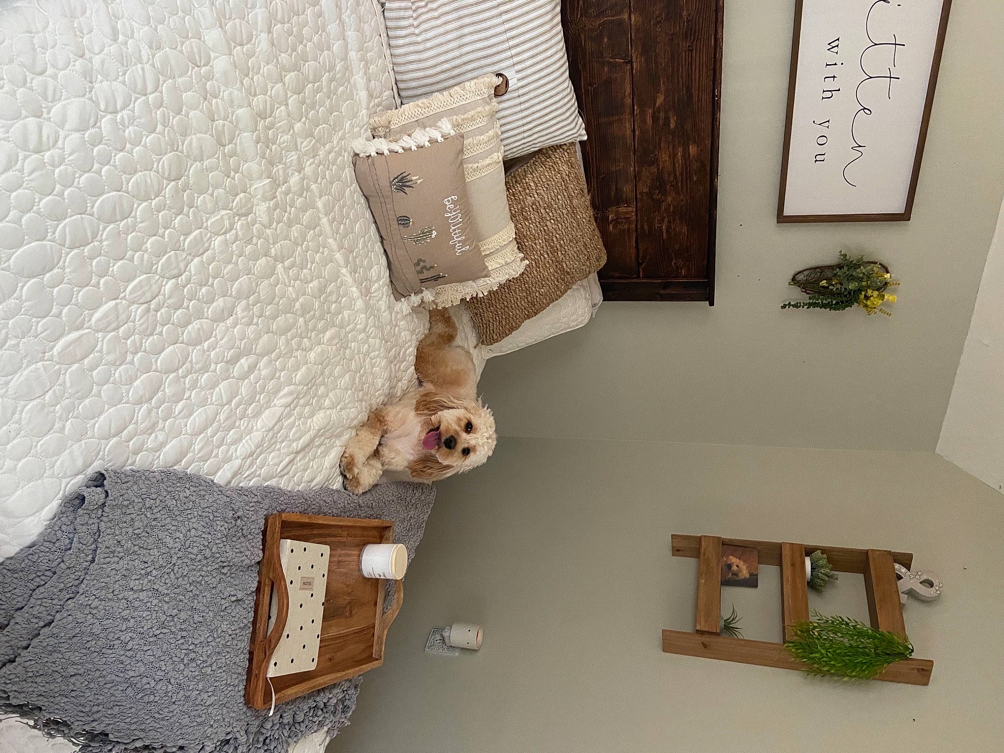 Archy is registered to the contest to win money with this photo: art, bag, beige, chair, fashion_accessory, font, hardwood, interior_design, metal, natural_material, pattern, pillow, plant, rectangle, room, shelf, shelving, throw_pillow, twig, wood