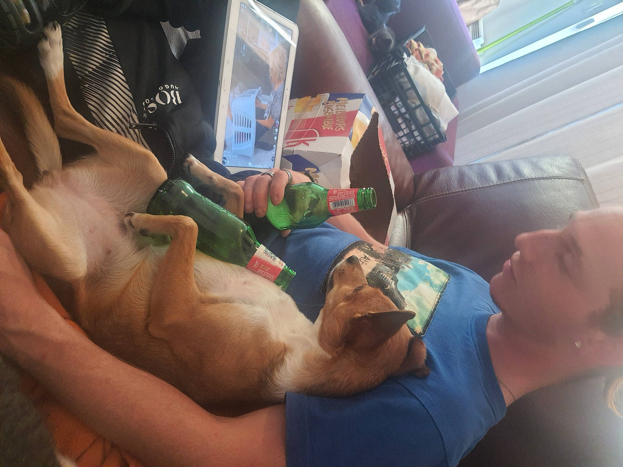 Christopher participe au concours pour gagner de l'argent avec cette photo : arm, chest, child, comfort, elbow, finger, fun, gesture, hand, human_leg, knee, lap, leisure, nail, people, person, room, t_shirt, thigh, thumb