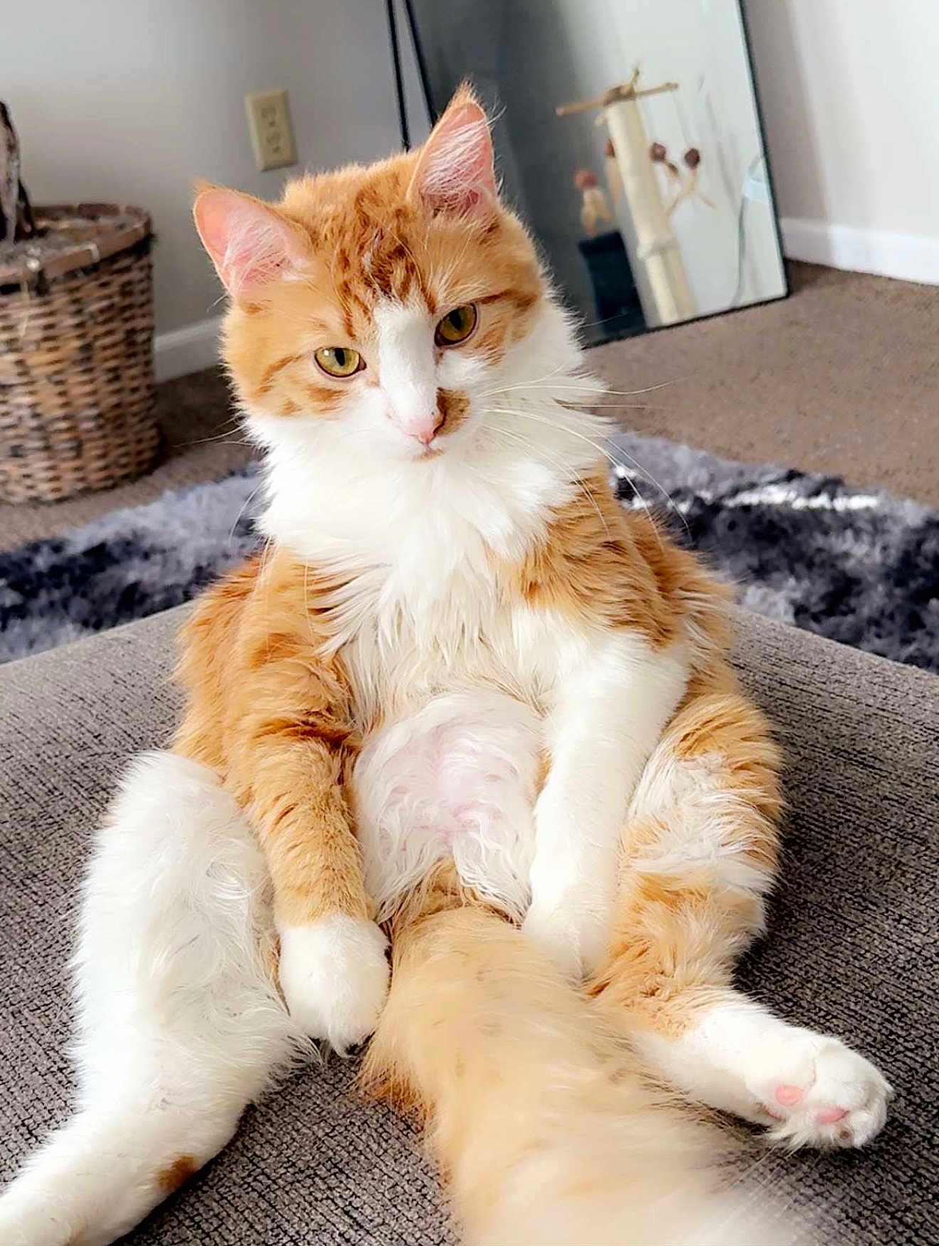 Max