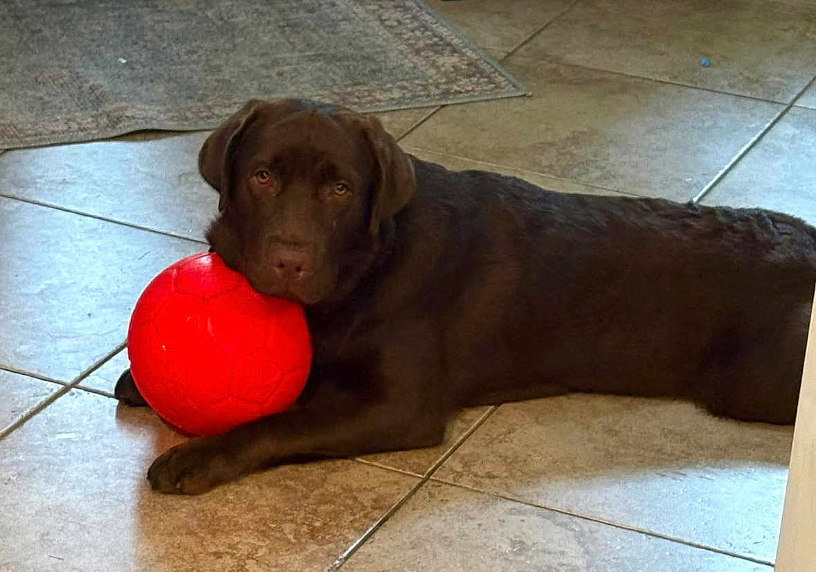Max