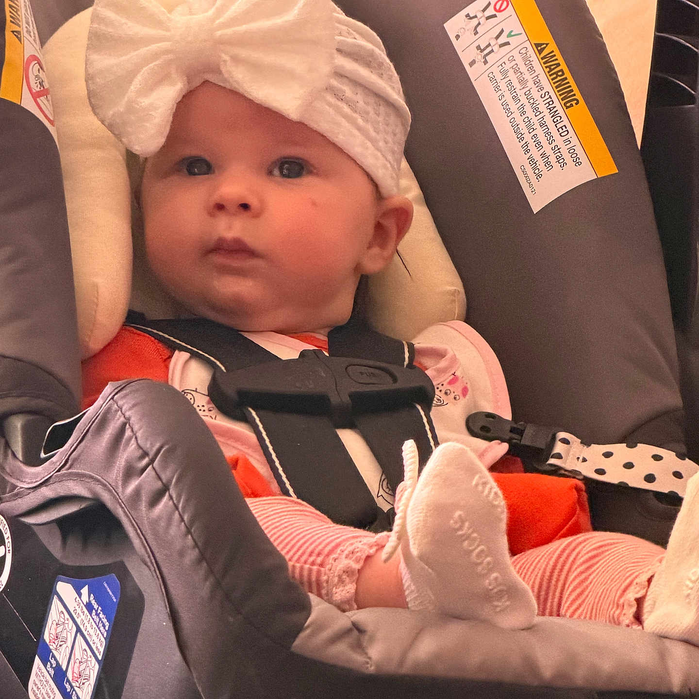 Lilith joined the competition — help win amazing prizes! baby, infant, child, car_seat, safety_harness, buckled, bow, headband, clothing, striped_pants, socks, sitting, portrait, face, eyes, indoors, vehicle, safety_label, cozy, photography