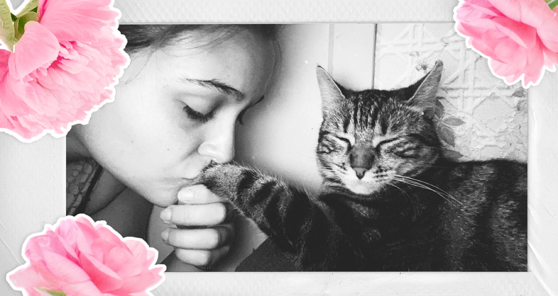 Plume participe au concours pour gagner de l'argent avec cette photo : beauty, black_and_white, carnivore, cat, cheek, felidae, flower, gesture, kitten, love, petal, photography, pink, plant, rose, rose_family, small_to_medium_sized_cats, style, whiskers