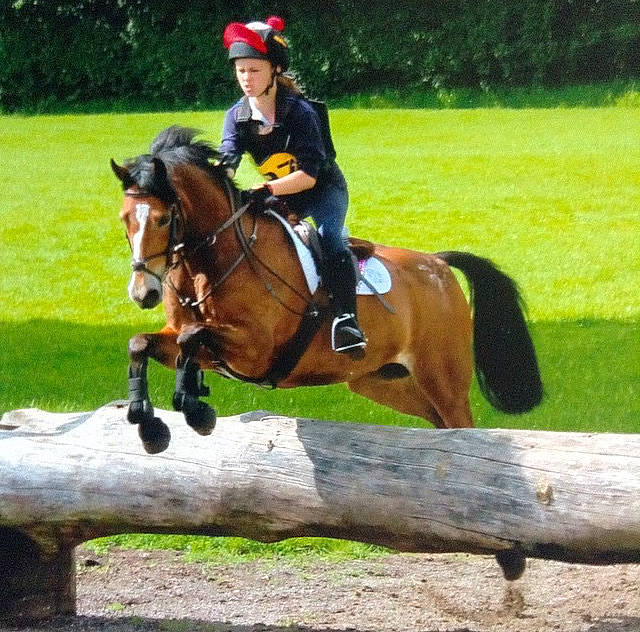 Merlyn is registered to the contest to win money with this photo: animal_sports, bridle, cross_country_equestrianism, english_riding, equestrian_sport, equestrianism, eventing, halter, horse, horse_supplies, horse_tack, individual_sports, jockey, mammal, outdoor_recreation, recreation, rein, saddle, sports, vertebrate