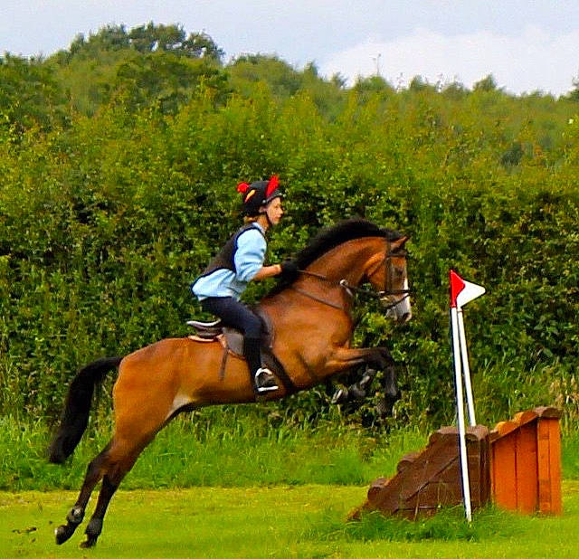 Merlyn is registered to the contest to win money with this photo: animal_sports, bridle, cross_country_equestrianism, english_riding, equestrian, equestrian_sport, equestrianism, equitation, eventing, halter, horse, horse_supplies, horse_tack, jockey, mammal, outdoor_recreation, rein, saddle, sports, vertebrate