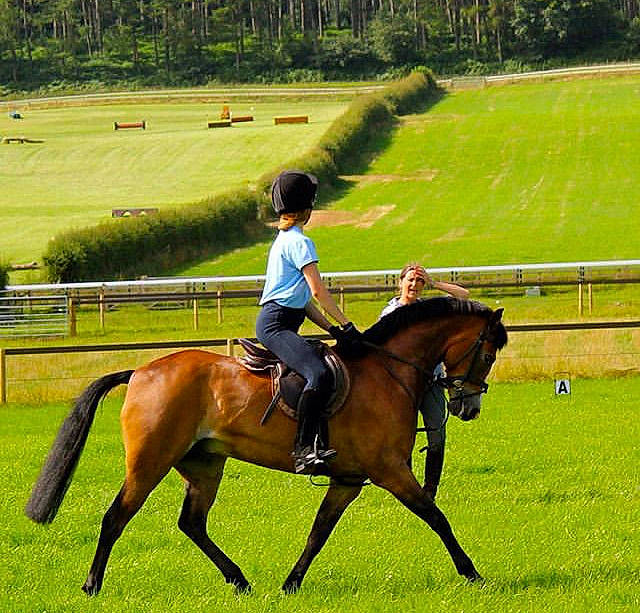 Merlyn joined the competition — help win amazing prizes! animal_sports, bridle, english_riding, equestrian_sport, equestrianism, halter, horse, horse_supplies, horse_tack, jockey, mammal, mane, mare, mustang_horse, outdoor_recreation, recreation, rein, saddle, stallion, vertebrate